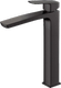Black Nickel