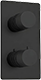 Matt Black