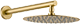 Brushed Gold