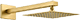 Brushed Gold