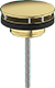 Polished Gold Optic