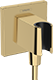 Polished Gold Optic