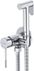 Chrome