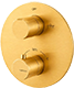 Brushed Gold