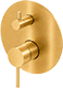 Brushed Gold
