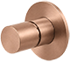 Copper Bronze PVD