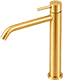Brushed Gold